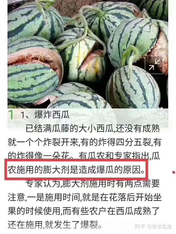 【代理招募】今年到底干点啥？不用担心！锐丰优选带你轻松赚钱 - 知乎