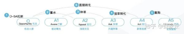 新品牌如何高效种草? - 知乎