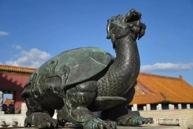 毁誉参半的中国古代龟崇拜及龟文化 - 知乎