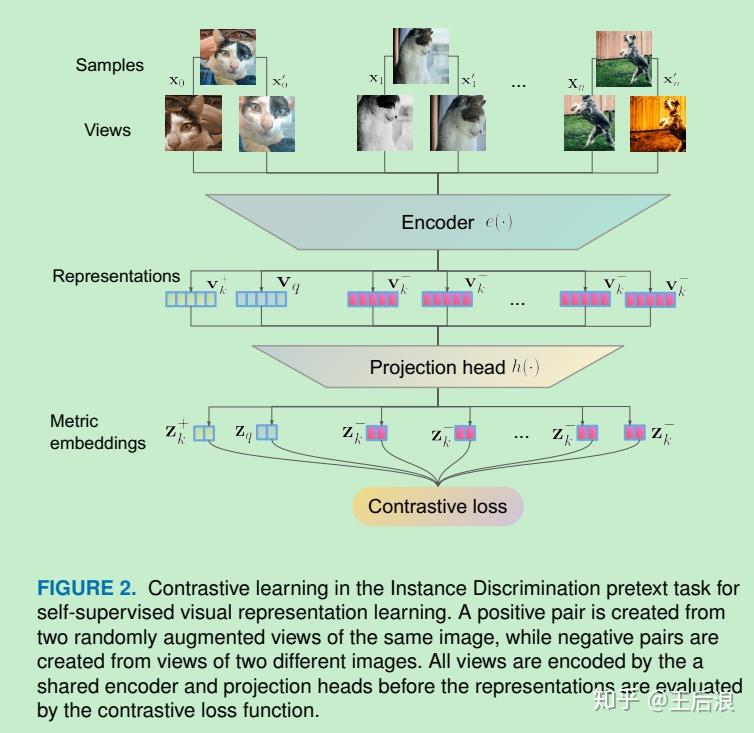 Contrastive Representation Learning: Review - 知乎