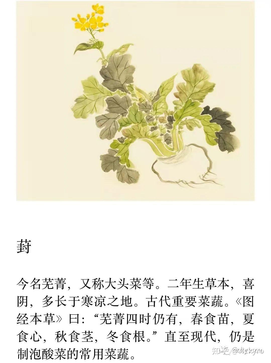 鄘风*墙有茨(隔墙有耳,但隔墙的话就不要听了)