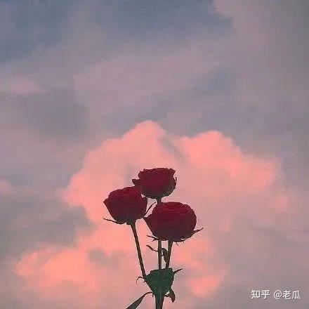 治愈系文案长篇励志的(10个超治愈的文案)