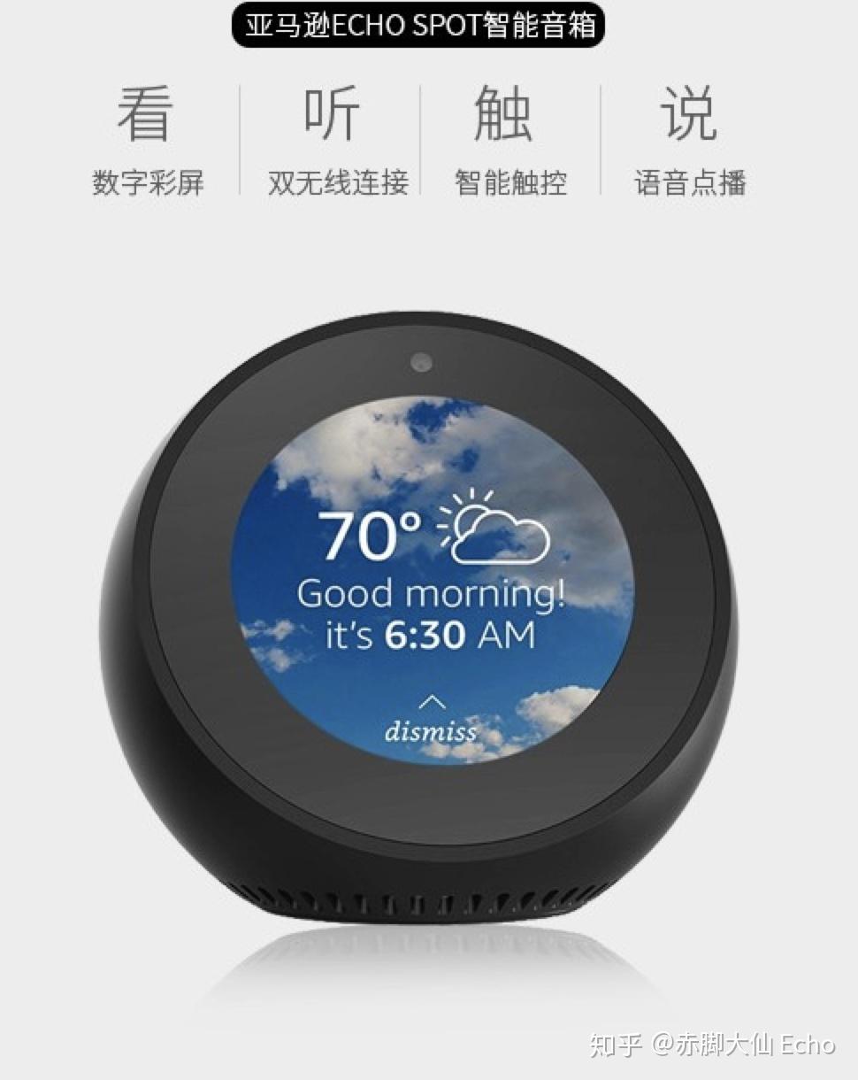 随着第一代echo在市场上取得的巨大成功以及其他厂商的纷纷加入,智能