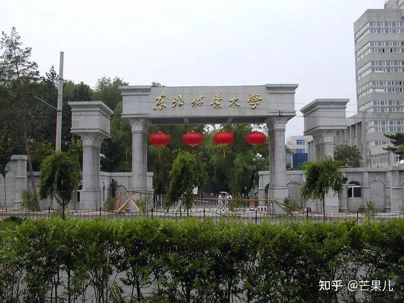 哈尔滨理工大学(威海)图片