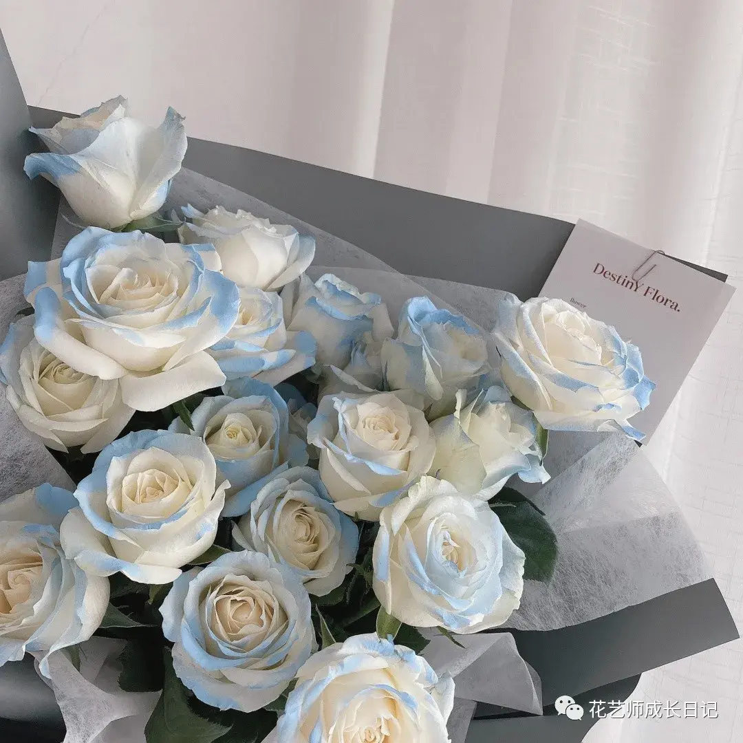 壁纸 蓝玫瑰花微距 2560x1600 HD 高清壁纸, 图片, 照片