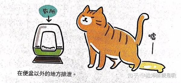 我们家猫咪又乱尿了怎么办 知乎