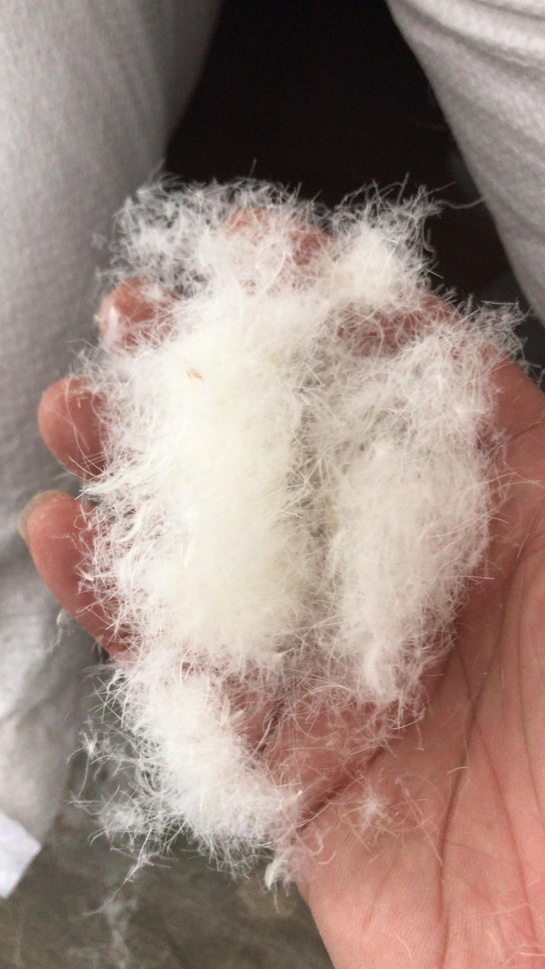 这样的羽绒是百分之九十的鸭绒吗