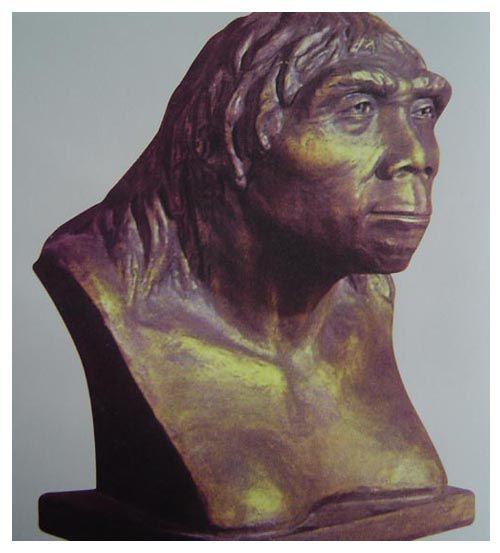 想不到吧我们都有一位共同的非洲老祖母