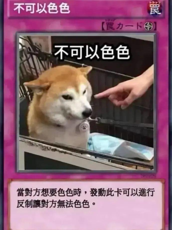 色色柴犬卡牌