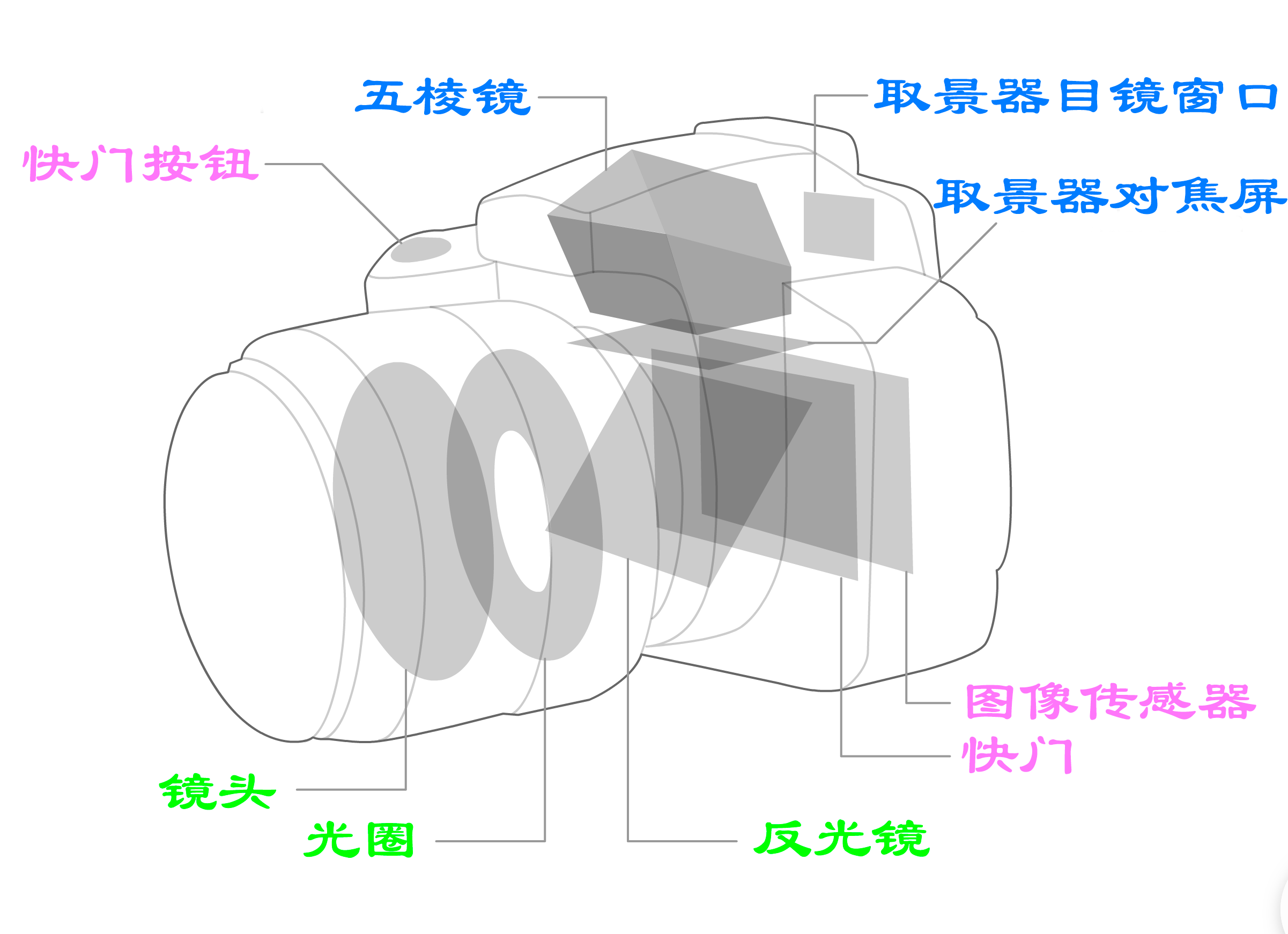 最易懂的单反相机入门教程【一】- 单反构造 - 知乎