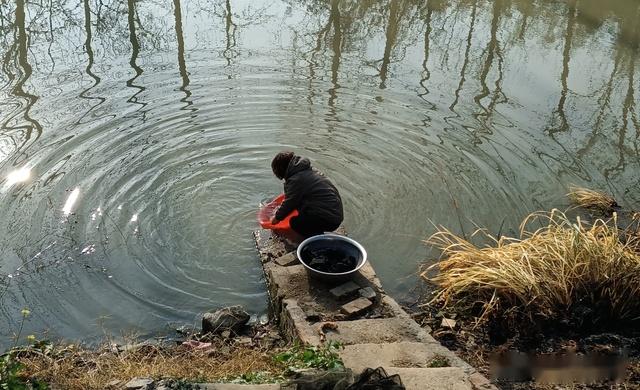 高邮农村纪实:婆婆在河边洗衣服 - 知乎