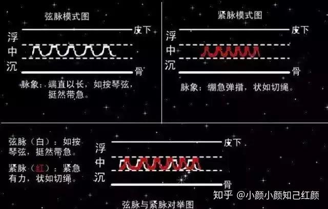 中医把脉手把手教,最全动图展示并心法口诀! - 知乎