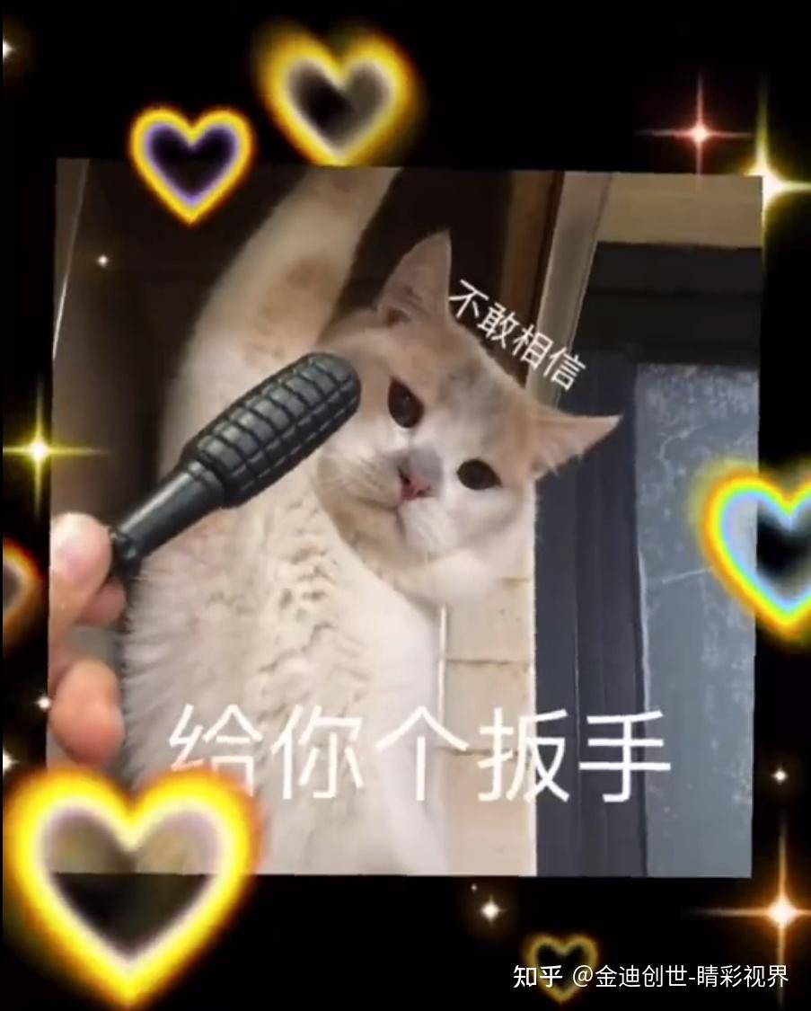 这小猫咪是干维修的吧