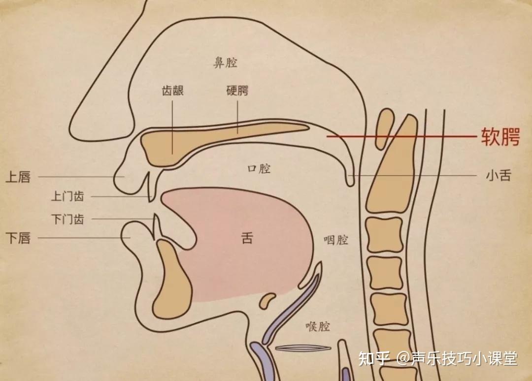 怒音的表现形式,就是音色似破非破,却又有别于撕裂音,而是一种具有"扇