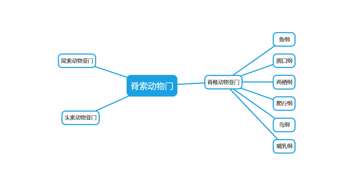 动物学期末总结