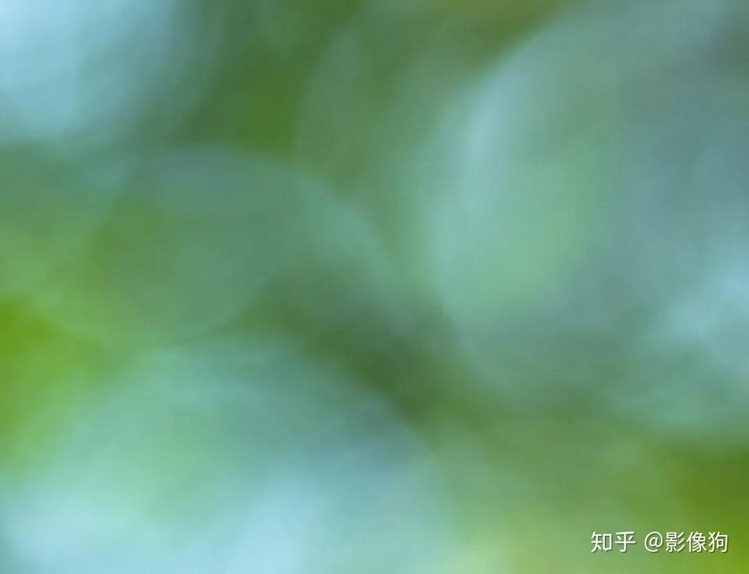 Sigma收購鏡頭