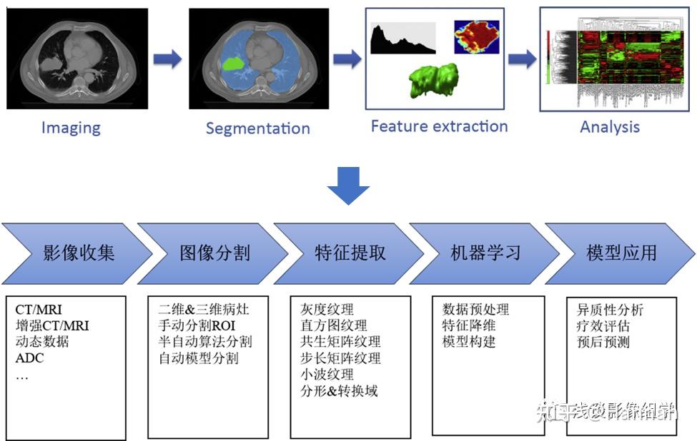 组学浅析之通俗理解影像组学的定义