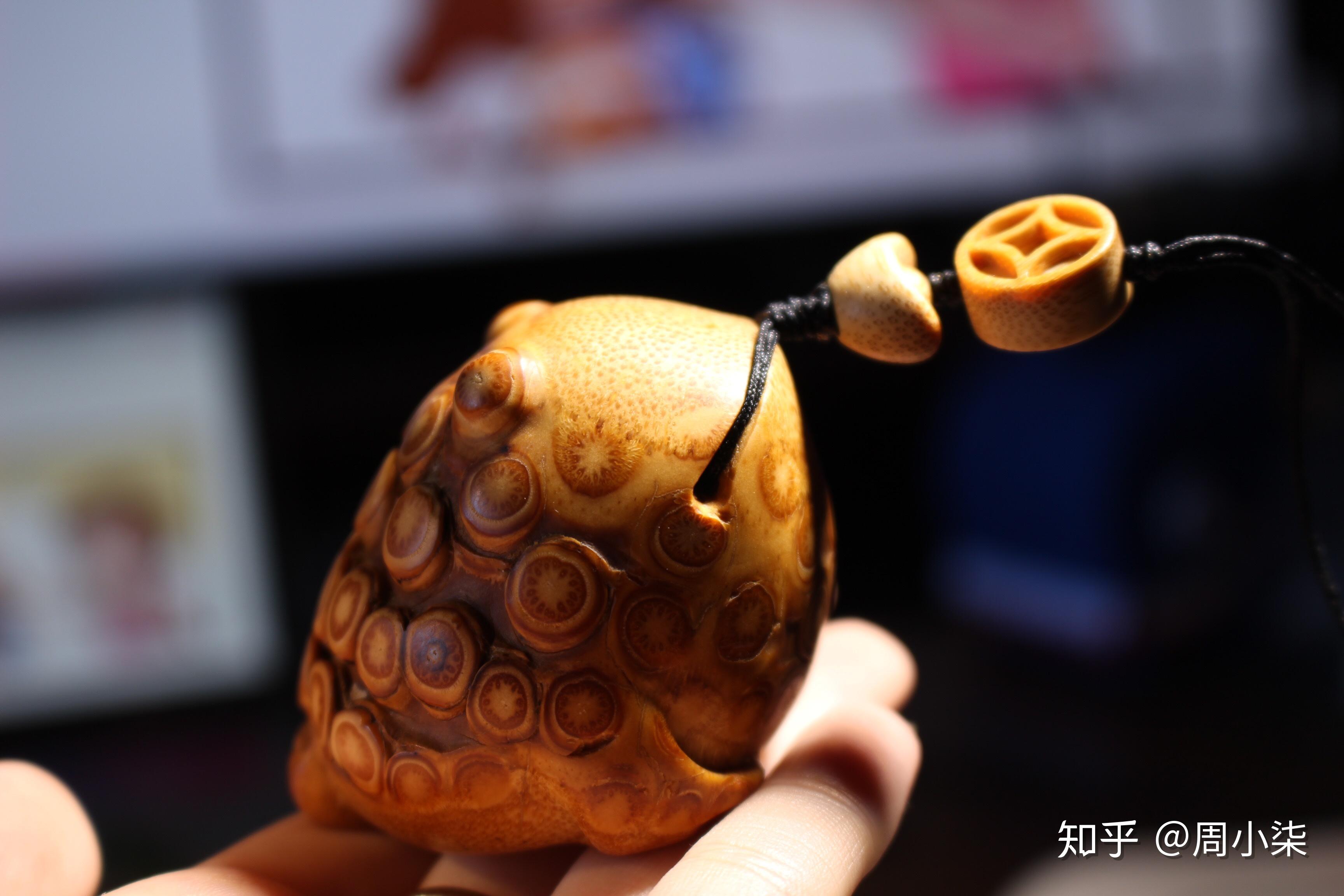 竹根金蟾 小呱 手把件