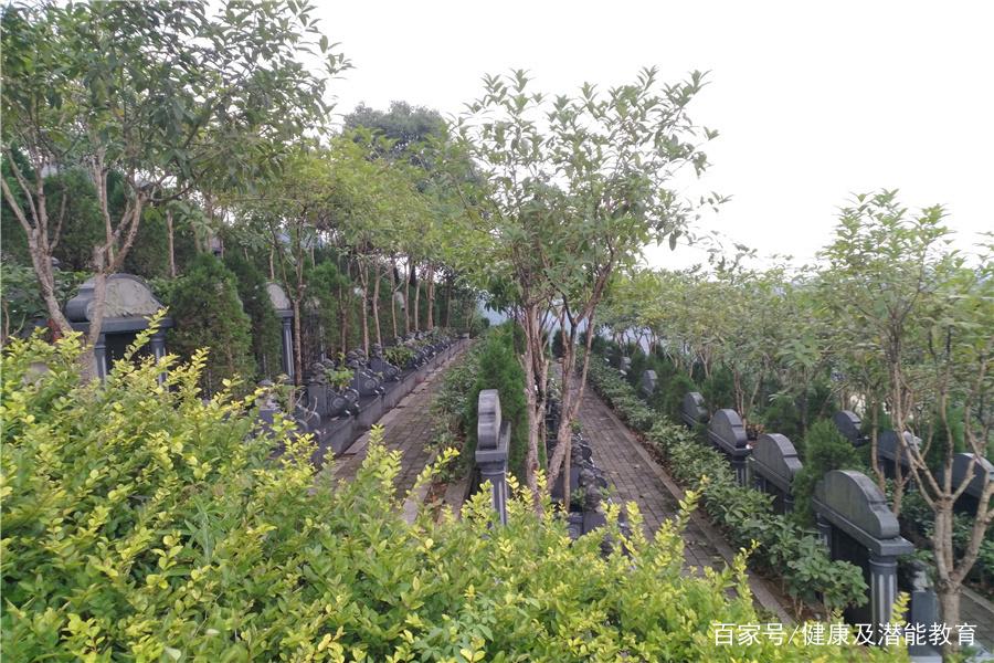 重庆金银山公墓图片
