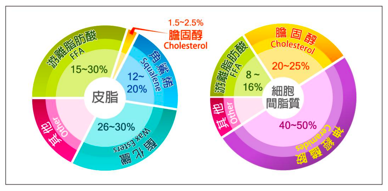 图 4:皮脂和细胞间脂质的成分构成(图片来自网络)