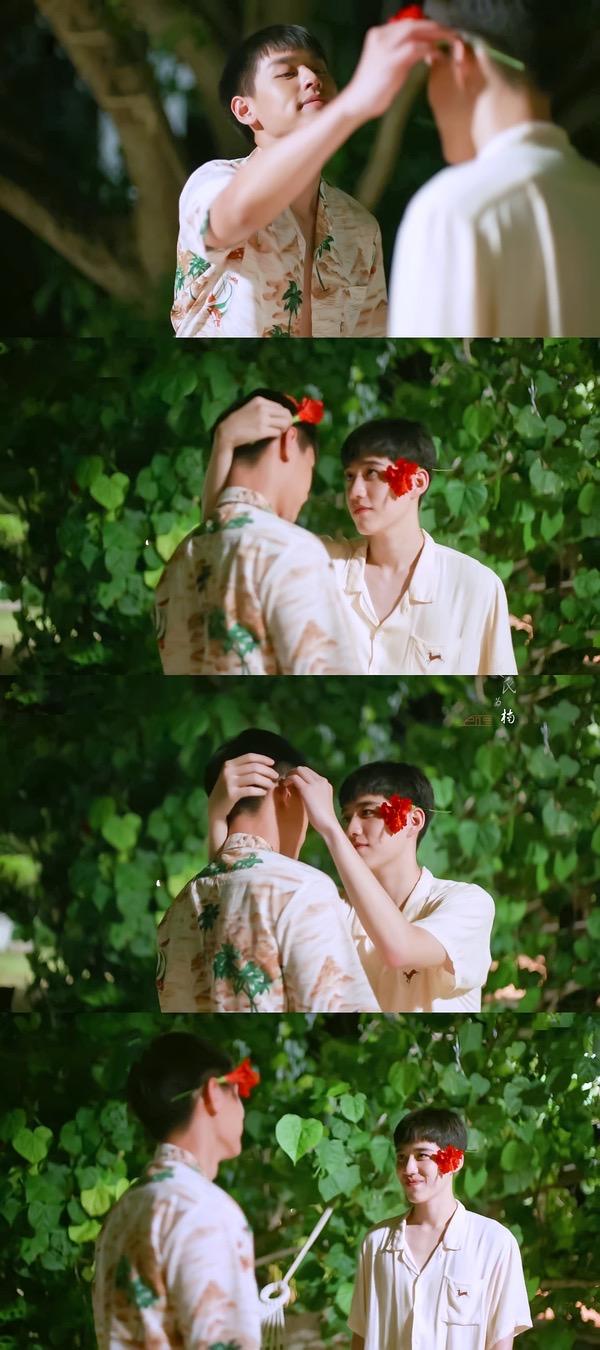 有以你的心诠释我的爱里德欧的高清壁纸吗