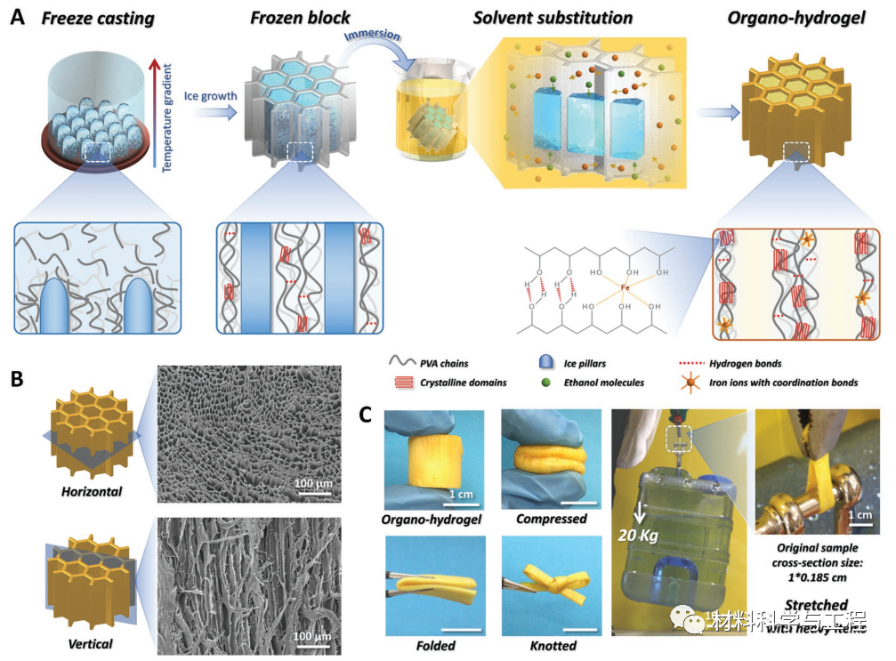 伸长率1710%！ 冷冻浇注辅助溶液置换制备强韧导电有机水凝胶 - 知乎