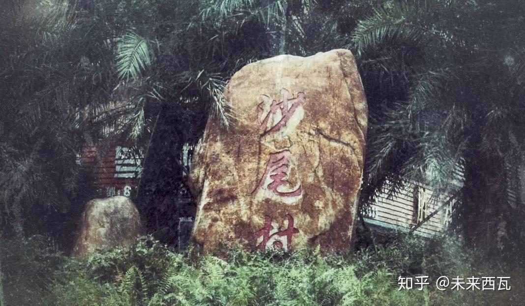 深圳城中村沙尾