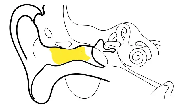v2-8b7889ffb4eb58da8aade7f28bc502d1_r.jpg