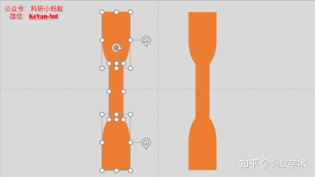 ppt绘制哑铃样条