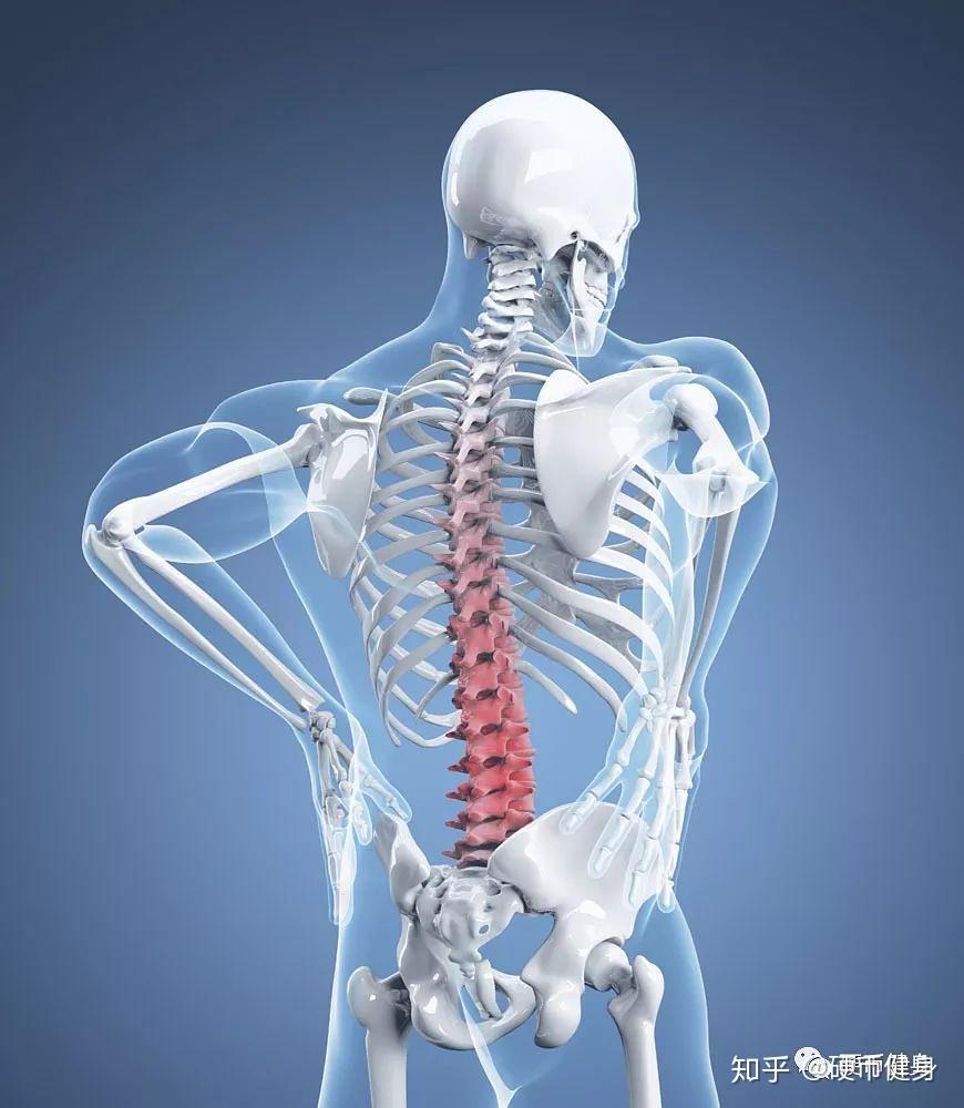 你的翘臀可能是你腰腿疼痛的罪魁祸首盆骨前倾