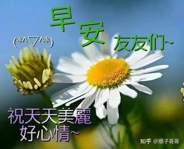 11月25日祝福朋友早上好動態早安圖片大全