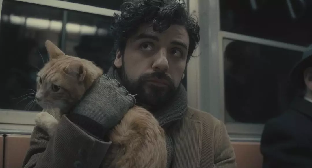 《醉乡民谣》 看导演是如何利用那只猫的!