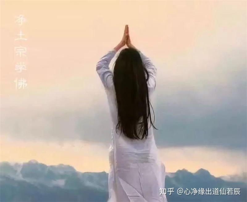 v2-8b95b964d037e75e6949e5a6927bd135_r.jpg