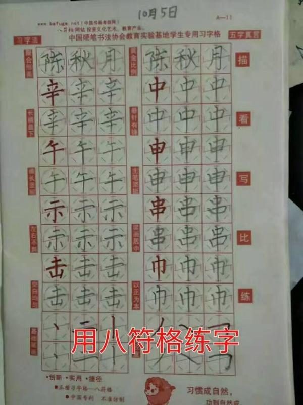 八符格是什么 知乎