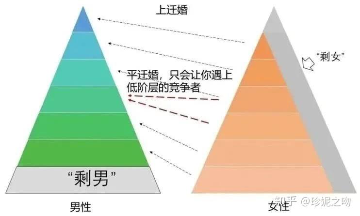 v2-8ba798ebfbfec5506970159d916e66f5_r.jpg