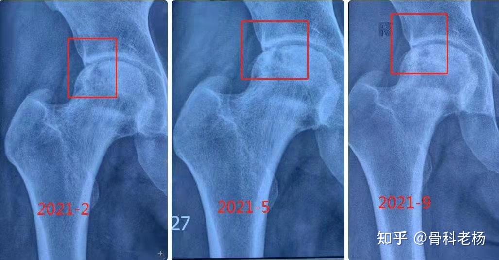 教案下载幼儿园_幼儿园教案课件下载_幼儿园教案软件下载