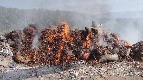 林则徐虎门销烟,为何不直接用火烧,而是把鸦片放入海水石灰池?