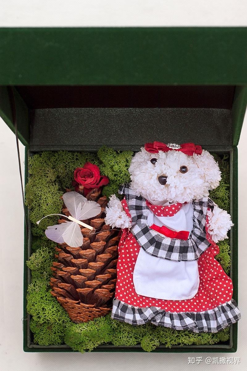 美翻了萌到极点原创永生花小熊欣赏