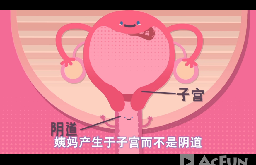 女性经期是否可以性生活对女生身体是否有害