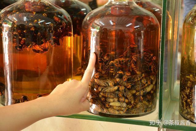 这些令人毛骨悚然的动物泡酒你看过吗这酒真有功效