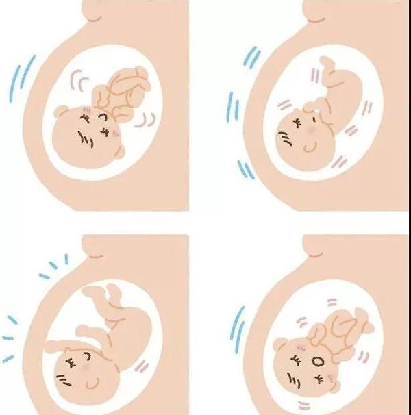 智慧星光 宝宝开始动手动脚啦 知乎