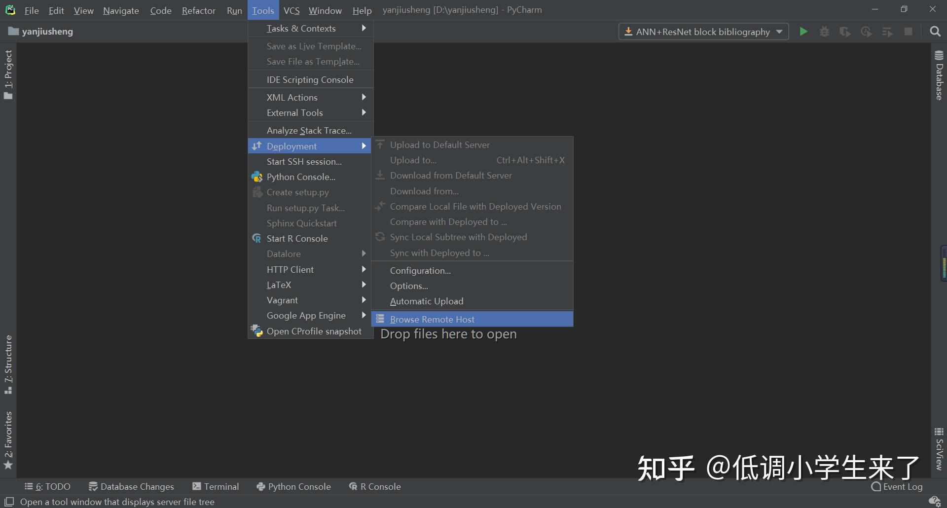 Pycharm python r 