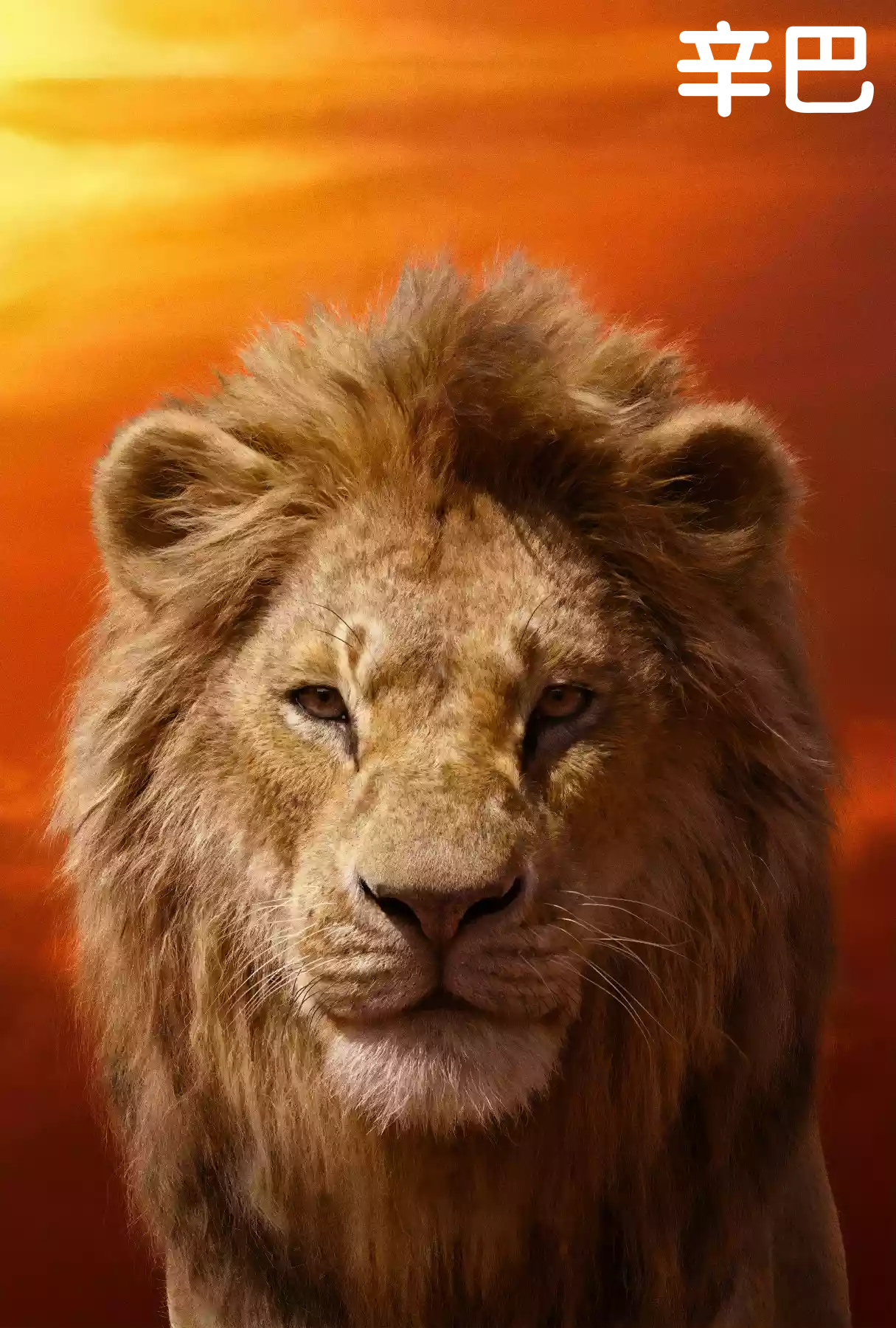 世界上最大的雄狮辛巴图片