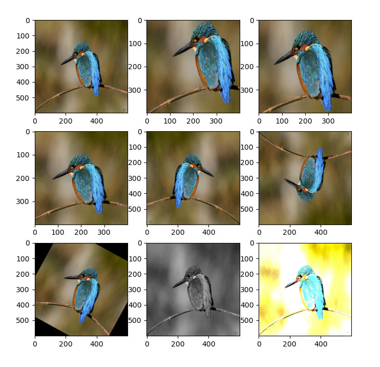 pytorch中的数据集的制作与使用 - 知乎