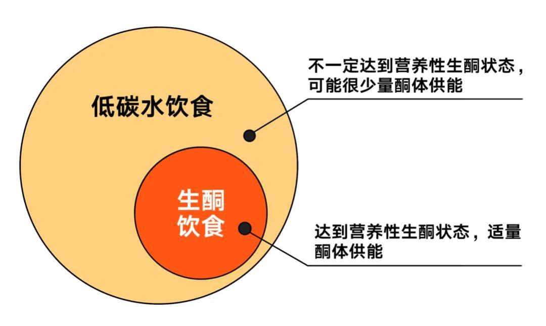 通常,日碳水化合物摄入量小于150g就属于低碳水饮食,碳水提供能量占总