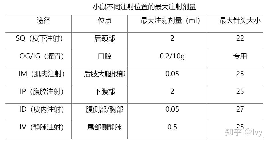 零失误小鼠腹腔注射 √ 新手友好 - 知乎
