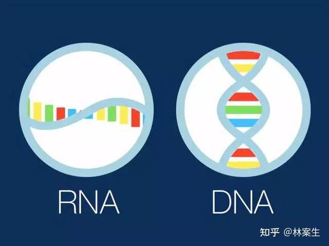 之所以德爾塔變異株病毒感染強,首先要要明白變異株的學術含義,這是指