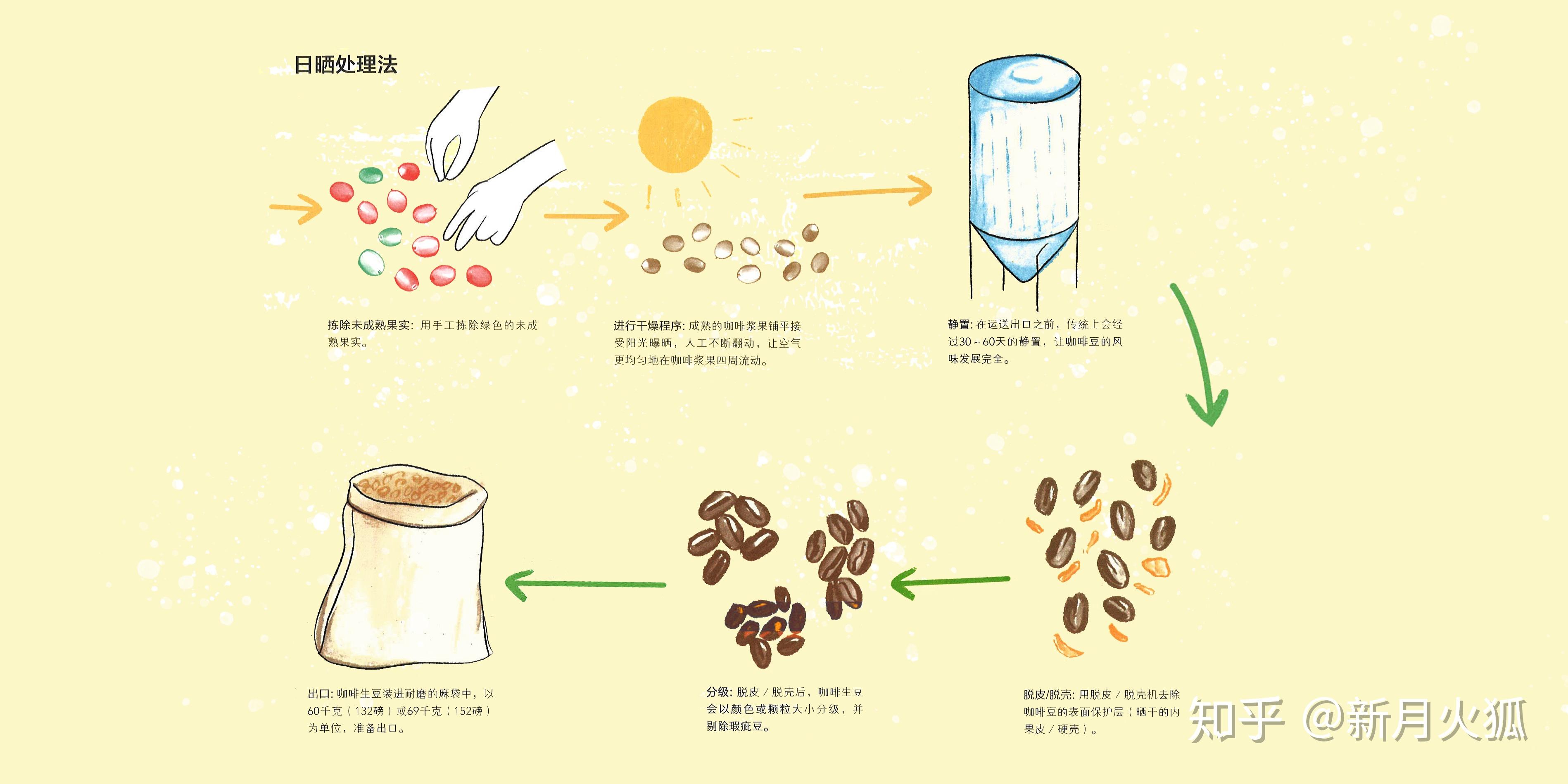 咖啡处理法，你究竟了解几个？ - 知乎