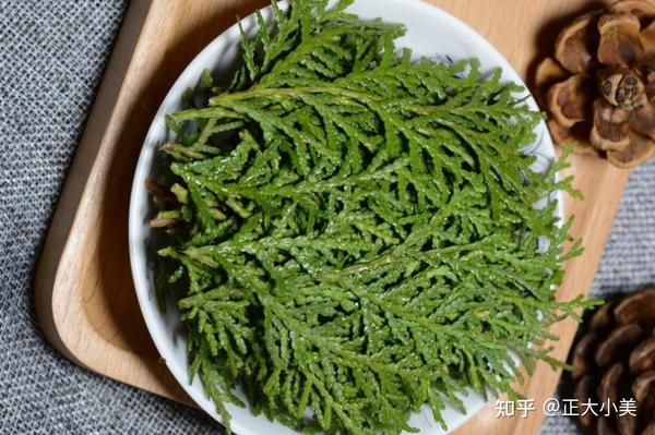 徐州孙老师:讲一味侧柏叶,防脱发、生黑发、止鼻血、止咳喘、治痔疮之良药 - 知乎