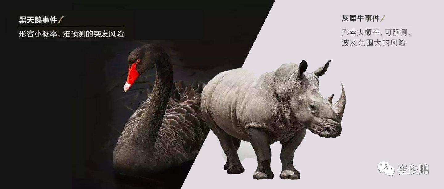 什么是黑天鹅和黑犀牛 v2-8c1df1838fa914b56cc893e8cc163fc0_1440w.jpg?source=172ae18b